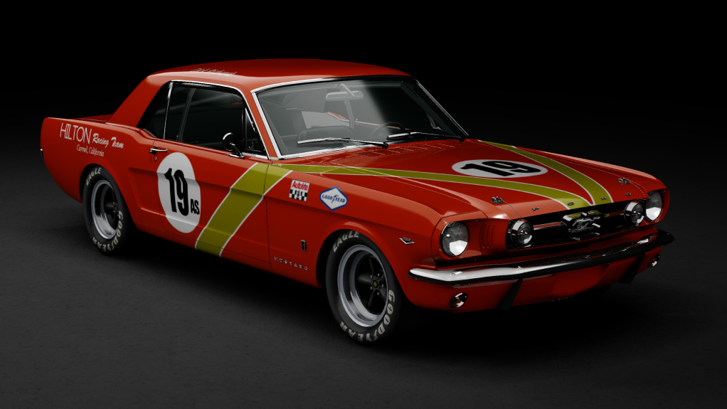 TCL60 Ford Mustang 289 · 19